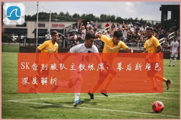 SK告别狼队主教练席，幕后新角色深度解析