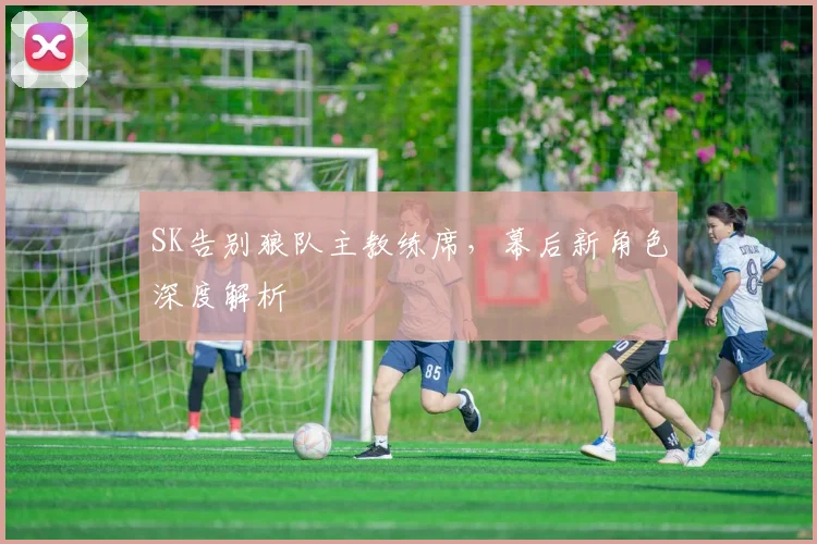 SK告别狼队主教练席,幕后新角色深度解析